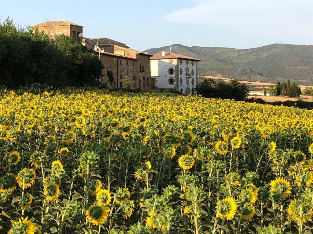 Casa Rural La Sacristana Lacar Buitenkant foto